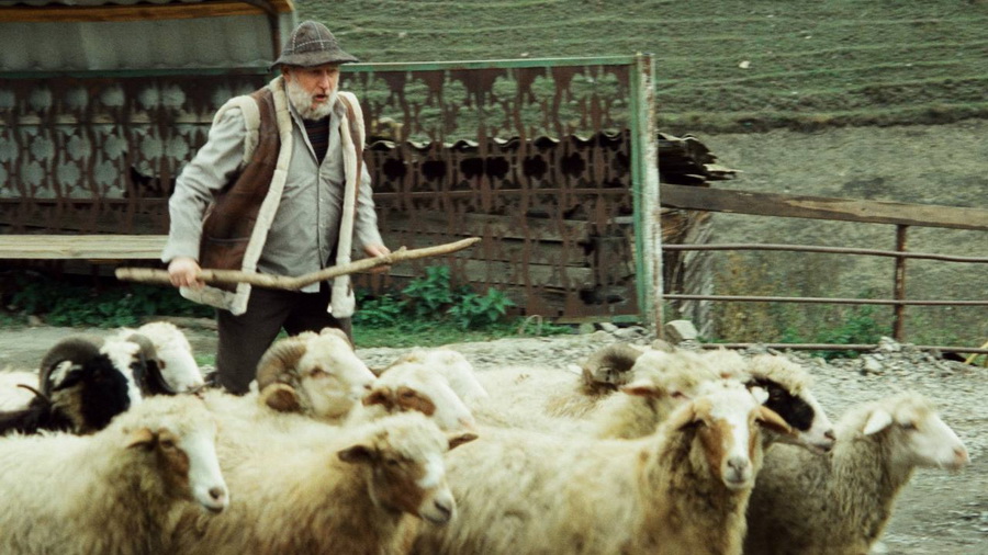 «Гордость» и любовь в Северной Осетии — 5 марта на Wink премьера комедийного сериала с национальным колоритом