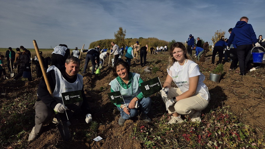 Волонтеры Сбера в Чувашии приняли участие в акции «Сохраним лес»