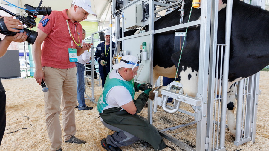 В Чувашии пройдет первый в России чемпионат по обрезке копыт