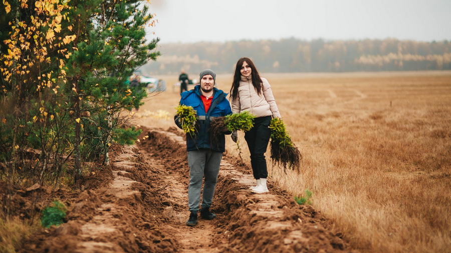 В 2022 году в Чувашии добровольцы высадили 12 тысяч деревьев