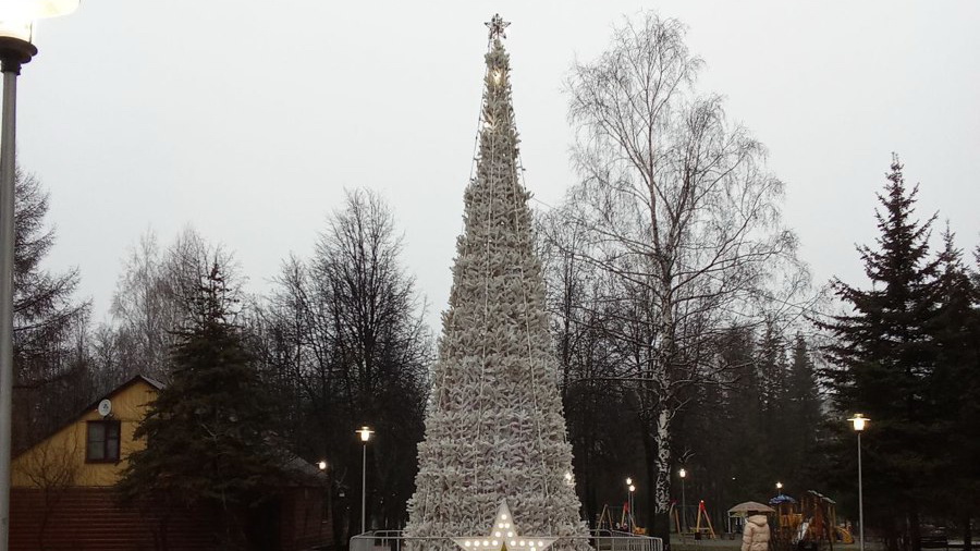 В Дорисс-парке установили новогоднюю елку