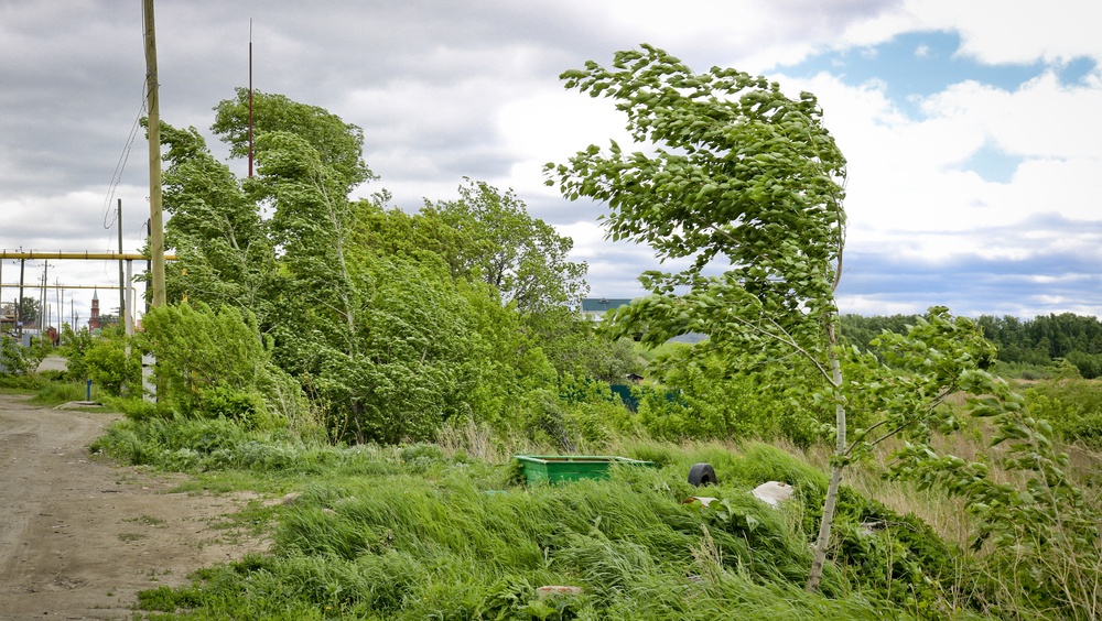 В Чувашии из-за сильного ветра объявили «желтый» уровень опасности
