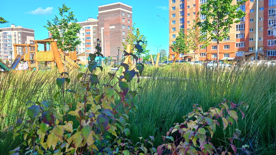 Синоптики рассказали о погоде в Чебоксарах на выходные