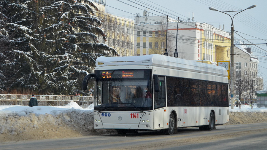 Минтранс Чувашии отложил транспортную реформу в Новочебоксарске