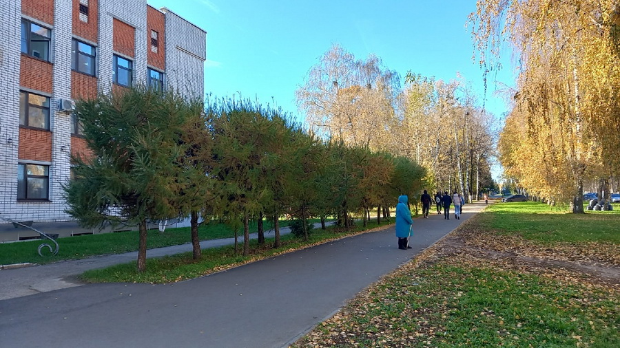 Уход за инвалидами и пожилыми по-прежнему засчитывается в страховой стаж