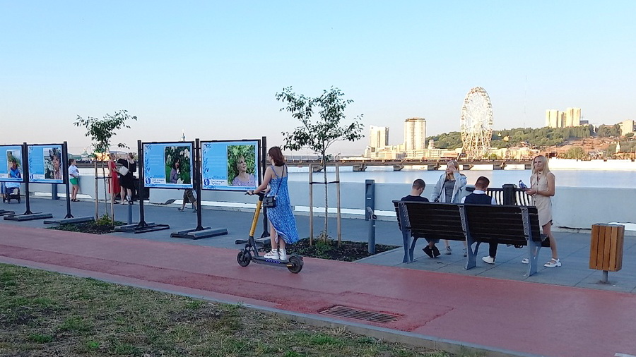 Для водителей электросамокатов предложили ввести новые правила и штрафы