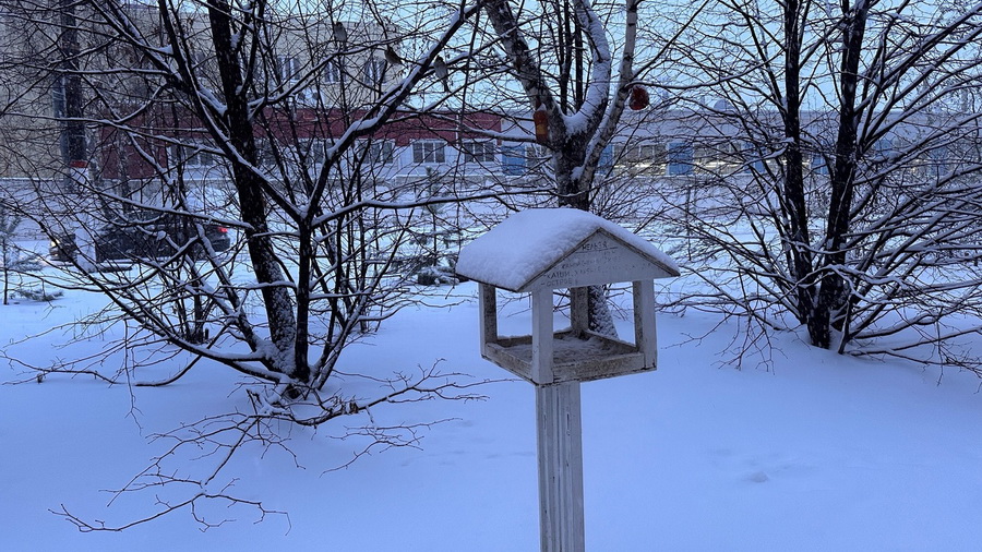 В Чувашии установился снежный покров и наступила самая поздняя метеорологическая зима за 11 лет