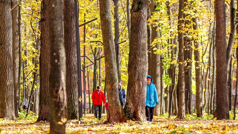 Предпоследние выходные октября в Чувашии будут сухими и холодными