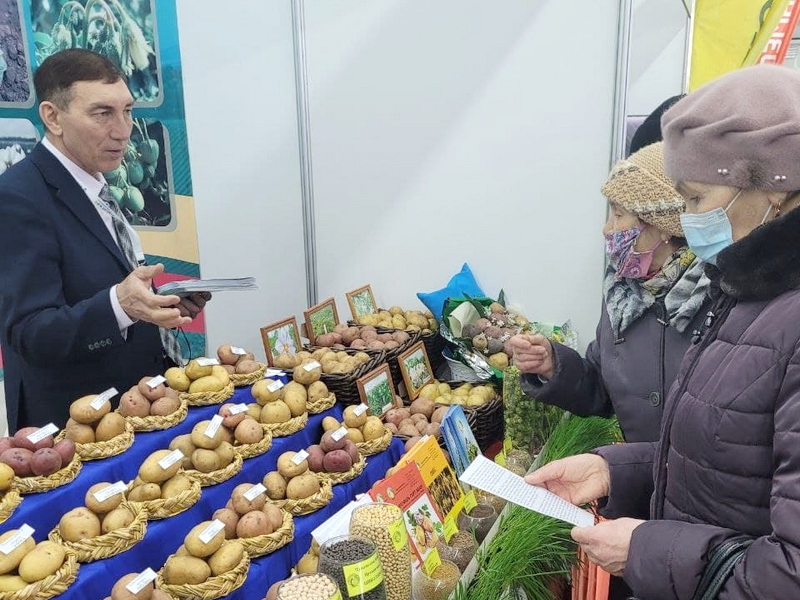 В Чебоксарах на «Контуре» открылась выставка «Картофель-2022». И на нее огромная очередь