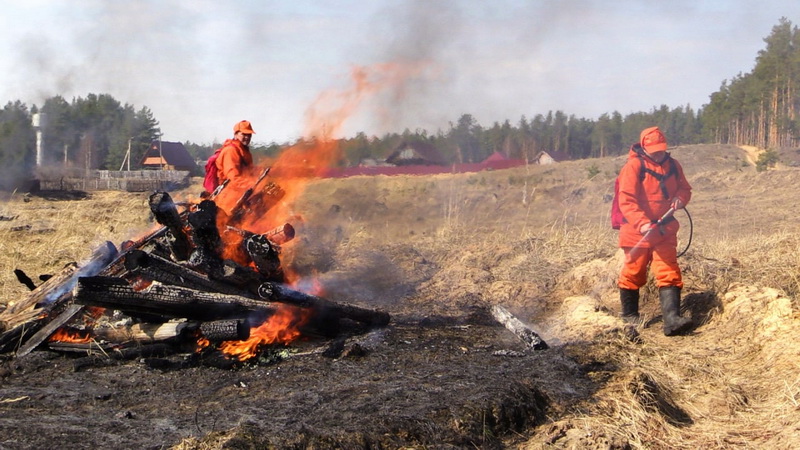С сегодняшнего дня в лесах Чувашии нельзя жечь костры и жарить шашлыки