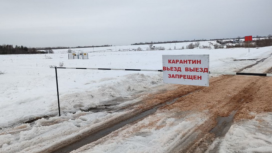 Следователи возбудили уголовное дело по факту заражения жителей Чувашии сибирской язвой