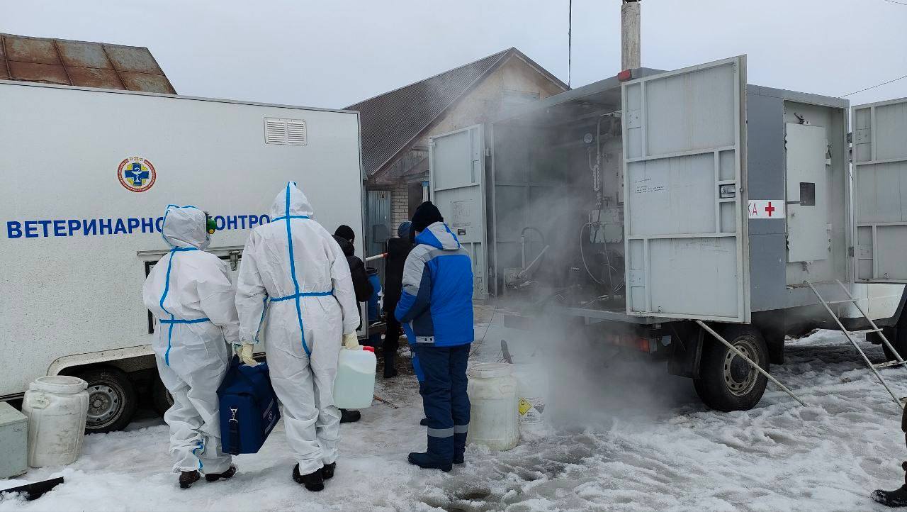 В Чувашии выявили третий случай заражения сибирской язвой