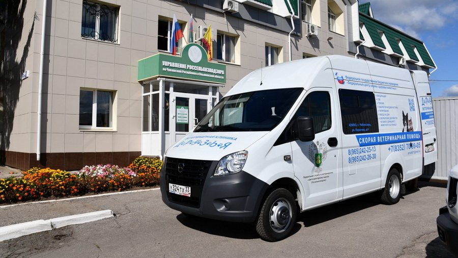 В Чувашии заработала скорая помощь для собак и кошек