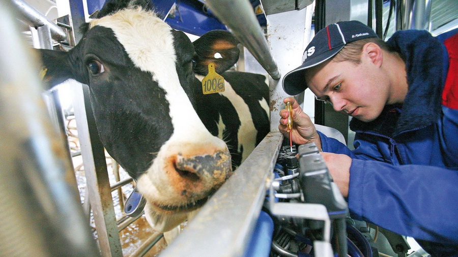 Жители Чувашии хотят работать менеджерами по продажам и не готовы идти в зоотехники