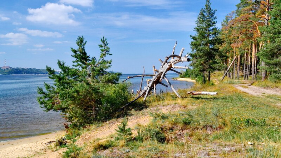 Чувашия вошла в десятку лидеров экологического рейтинга регионов