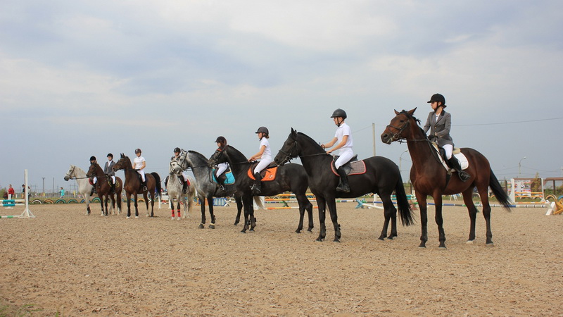 Где обучиться верховой езде: конные клубы вблизи Чебоксар