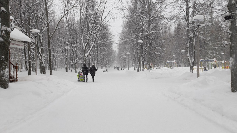 12 трасс, где можно покататься на лыжах в Чебоксарах. Зима 2023-2024