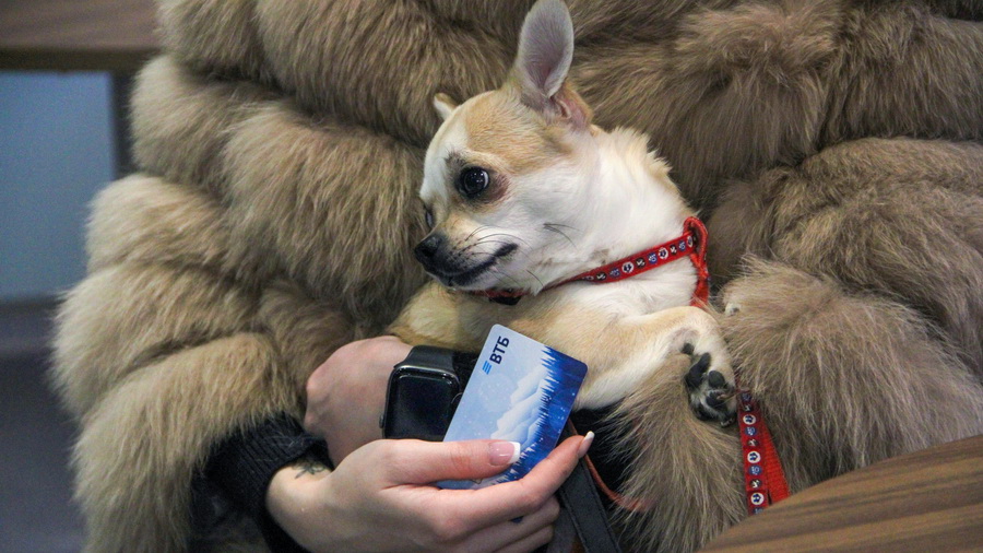 Россияне рассказали, сколько отложили на поездки на майские