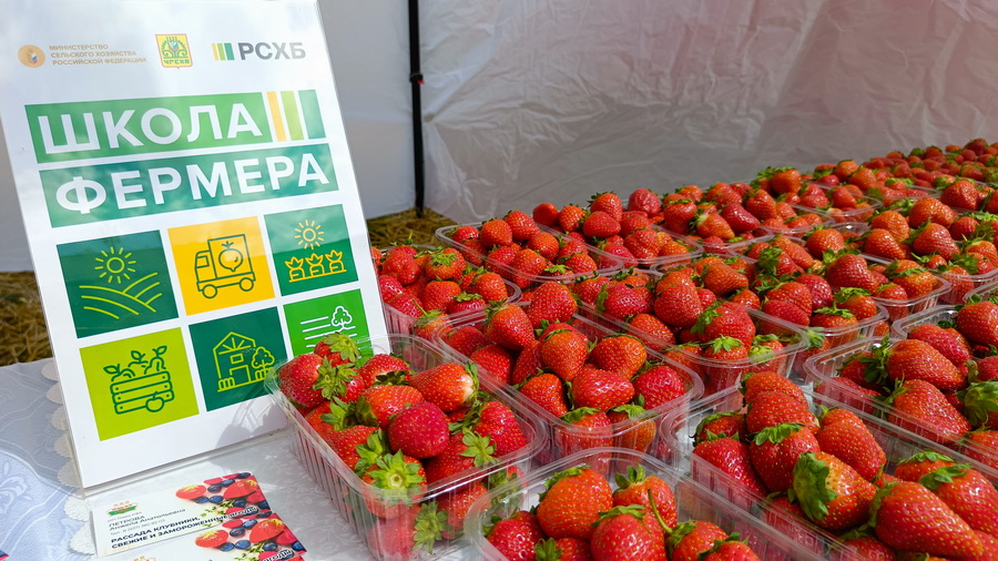 80% участников «Ягодного фестиваля Чувашии» являются выпускниками «Школы фермера»
