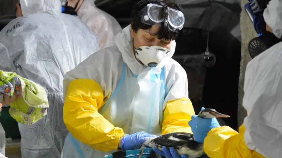 ВТБ направит 25 млн рублей на устранение последствий разлива мазута в Керченском проливе